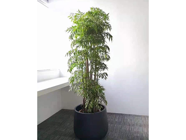 綠植策劃17